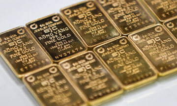 Prime minister: solutions needed soon to mobilize gold bars from the public