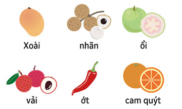 What vietnamese visitors are not allowed to bring to japan?