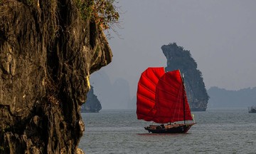 Red sailboats appear, drawing attention in Ha Long Bay