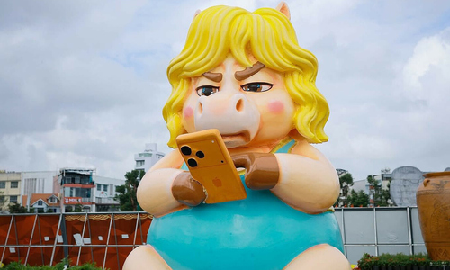 Horse mascot cluster in Quy Nhon sparks controversy