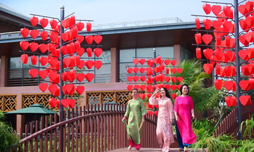 Southern Tet space in western Ho Chi Minh City urban area