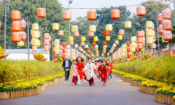 Tet flower street to be held for the first time in Thang Long Imperial Citadel