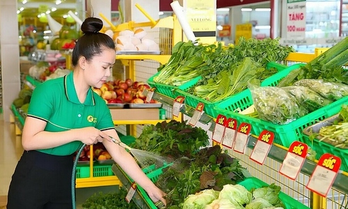 Bach Hoa Xanh earns nearly two billion VND daily