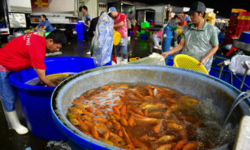 Ho Chi Minh City's largest carp market bustling for ong Tao day