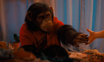 'Primate' - the raging chimpanzee