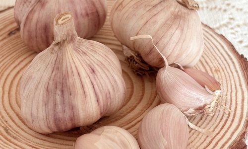 What to eat for body detoxification?