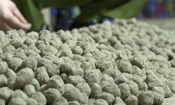 Scheme of mixing Western medicine into 'quick weight gain traditional medicine'