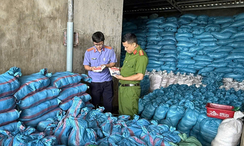 Workshop producing thousands of tons of fake iodized salt discovered