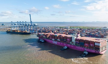 Hai Phong establishes specialized economic zone