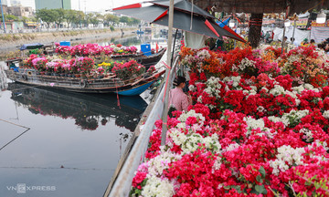 Bustling 'on the wharf, under the boats' flower market ahead of Tet