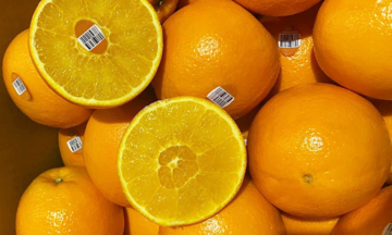 What to eat to control blood fat during Tet?