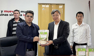 Vietnam transfers 250 tons of rice, supports Cuba in ensuring food security