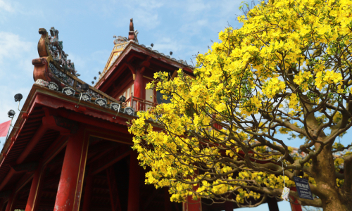 10 english new year greetings for the year of the horse 2026