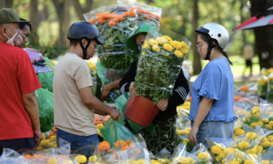Ministry of finance: vegetable, meat, and fish prices stable on Tet eve