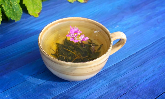 Does nhan tran tea help detoxify the liver during Tet?