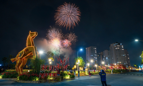 Residents watch fireworks, welcome new year at Mailand Hanoi City