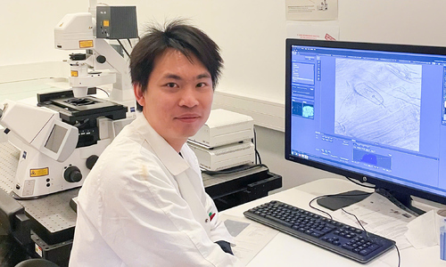 Vietnamese doctor unlocks leukemia treatment potential from rice and weeds