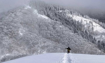 Vietnamese national dies on snowy Japanese mountain