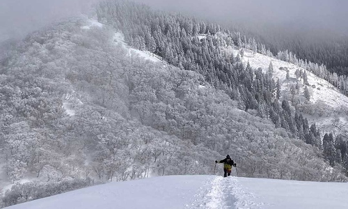 Vietnamese national dies on snowy Japanese mountain