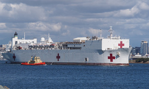 Greenland declares no need for US hospital ship