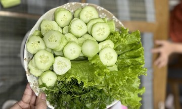 5 low-starch vegetables to eat after the holiday season