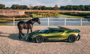 Car models inspired by horses