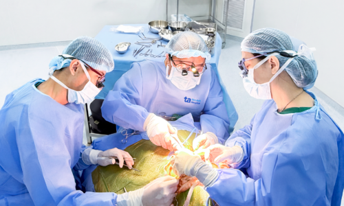 Three-day-old baby undergoes sacrococcygeal tumor removal surgery