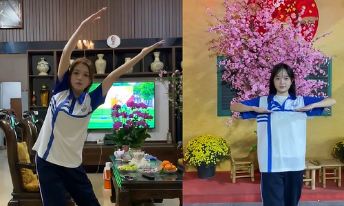 Students create online sensation with Tet holiday exercise assignment