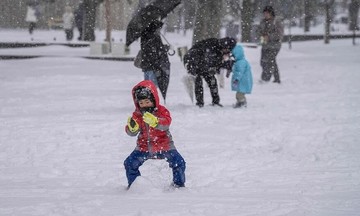 Japan's newborn count drops for 10th consecutive year