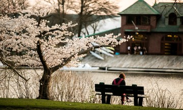 Harvard students disappointed by financial aid 'gray area'
