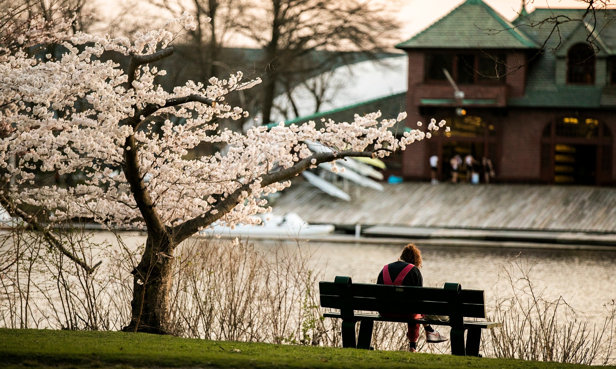 Harvard students disappointed by financial aid 'gray area'