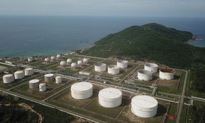 Government establishes energy security task force