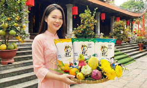 Kojiky rice crackers appear on new year's offering trays