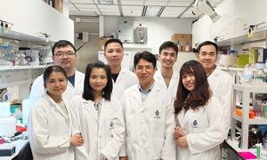 Vietnamese teacher and students decipher 20-year biological mystery on Nature