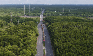 VnExpress Marathon to be held in Can Gio for the first time