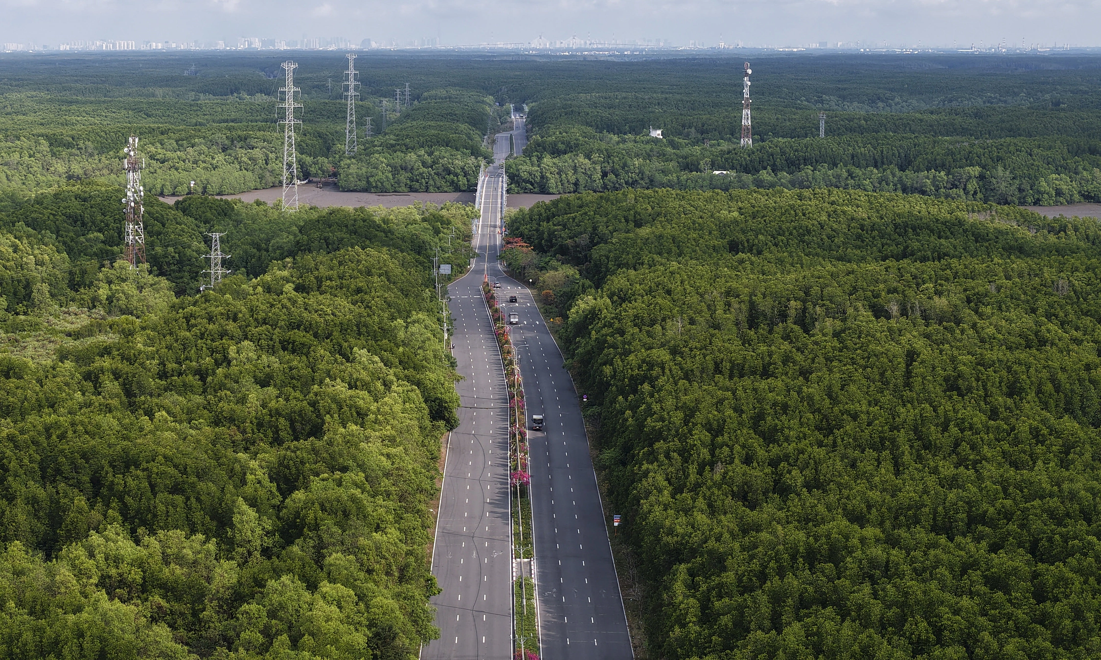 VnExpress Marathon to be held in Can Gio for the first time