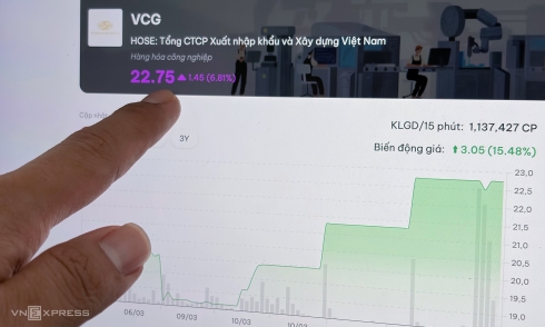 Vinaconex stock repeatedly hits ceiling price