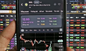 Novaland stock surges