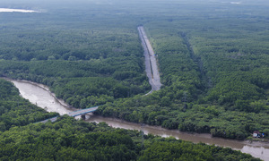 Can Gio: a running destination 'through forest, by the sea'