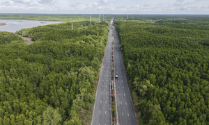 VnExpress Marathon Green Paradise Can Gio offers a running experience amidst nature