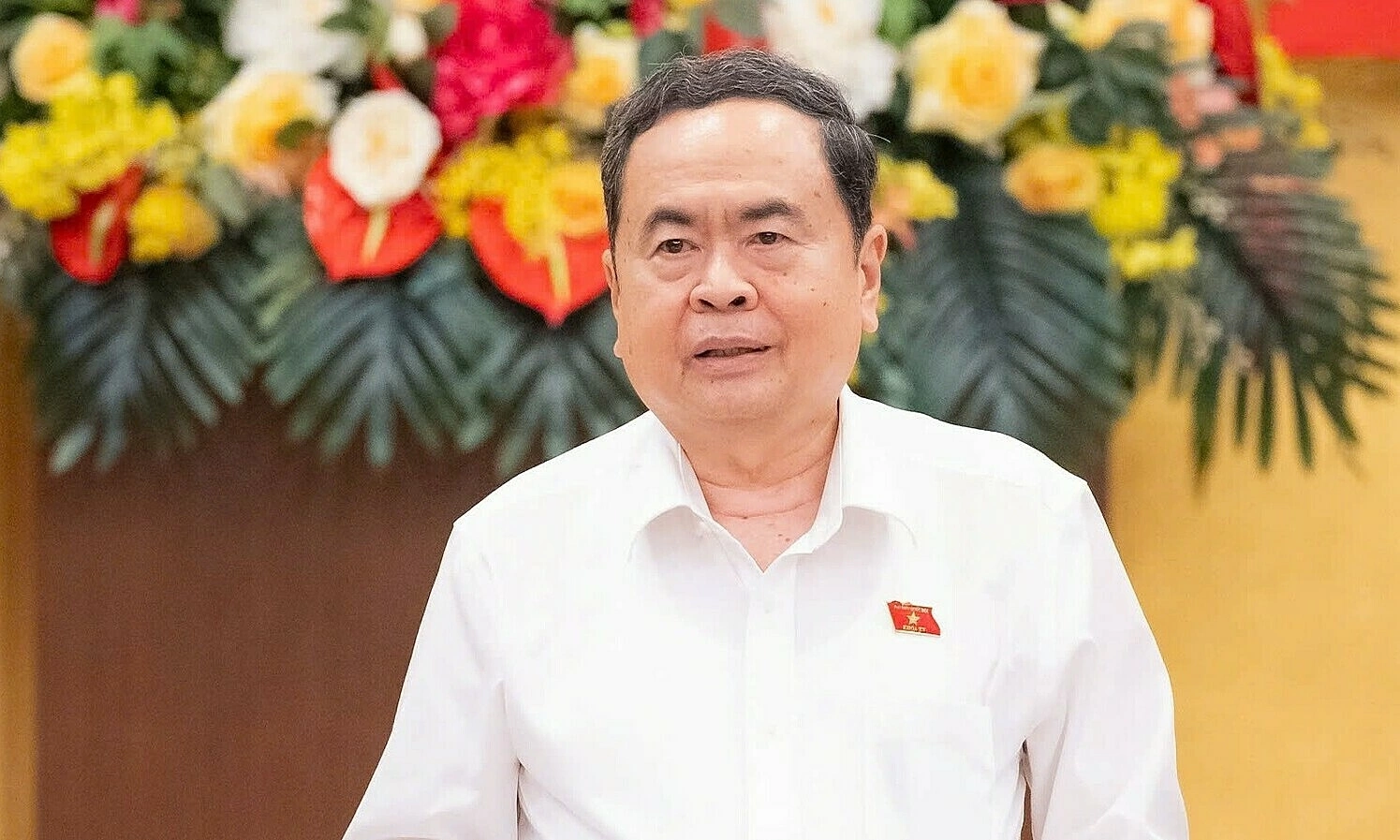 National Assembly chairman: no locality needs to re-elect