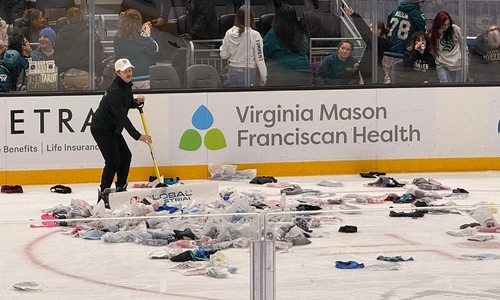 Thousands of bras thrown onto US hockey rink