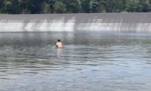 Drowning person rescued thanks to livestream