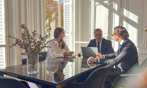 Immigration rights in entrepreneurs' risk management strategy