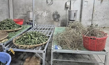 Poisons disguised as 'three-generation miracle cures'