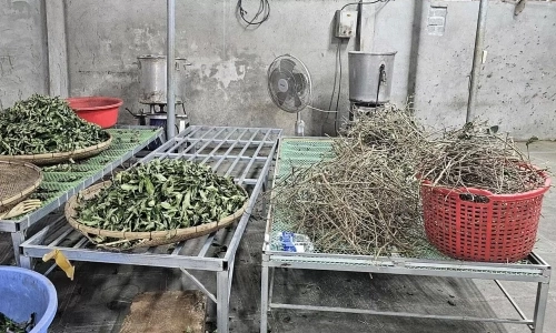 Poisons disguised as 'three-generation miracle cures'