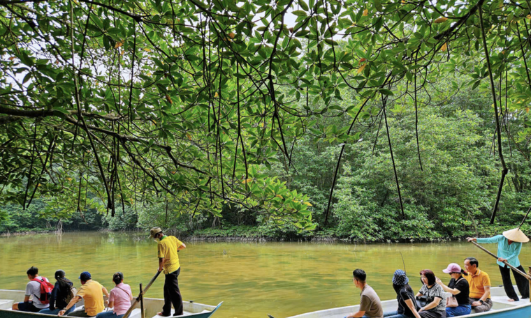 Experiences to try in Can Gio