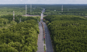 Why nature-based marathons attract runners