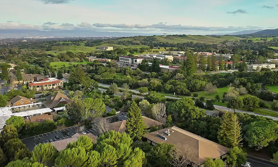 Theft epidemic in affluent American neighborhood