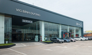 BYD aims to standardize distributor quality in Vietnam